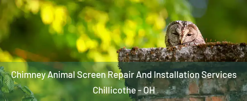  Chimney Animal Screen Repair And Installation Services Chillicothe - OH