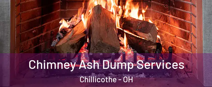  Chimney Ash Dump Services Chillicothe - OH