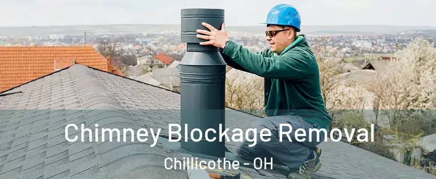  Chimney Blockage Removal Chillicothe - OH