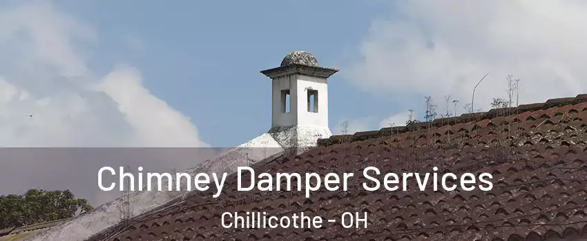  Chimney Damper Services Chillicothe - OH
