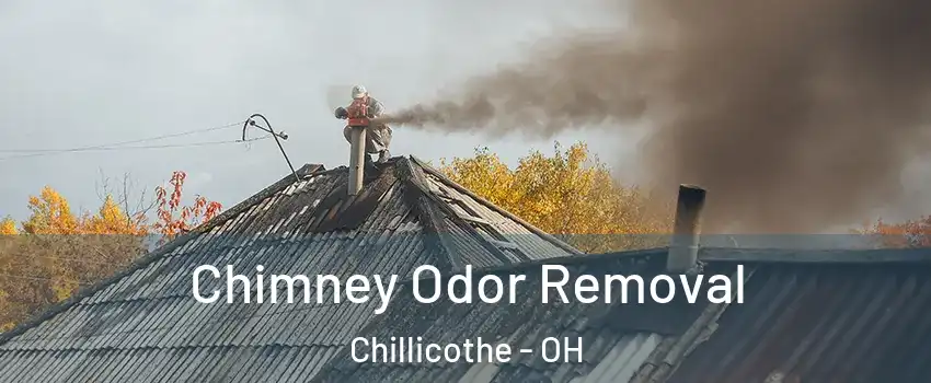  Chimney Odor Removal Chillicothe - OH