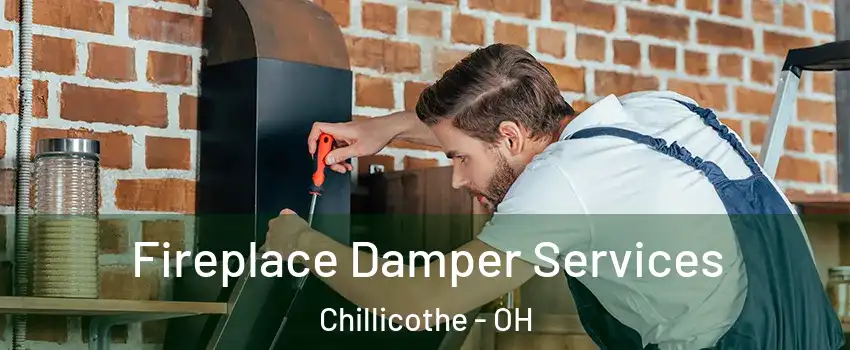  Fireplace Damper Services Chillicothe - OH