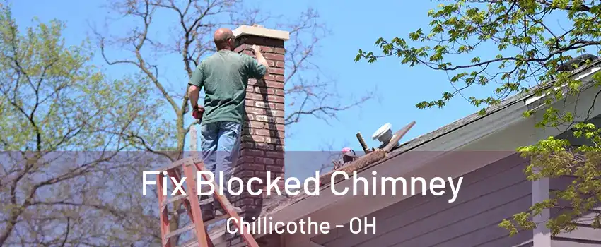  Fix Blocked Chimney Chillicothe - OH