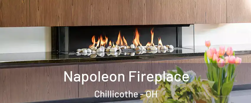  Napoleon Fireplace Chillicothe - OH